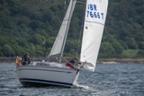 dignity gbr7666t whyw19 wed gjmc 5067